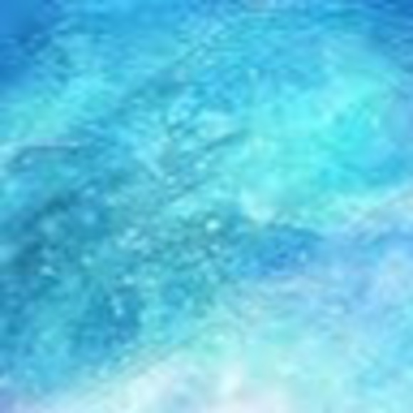 Meet your Posher, Elizabeth - Picture 2 of 2